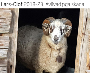 Lars-Olof 2023.jpg